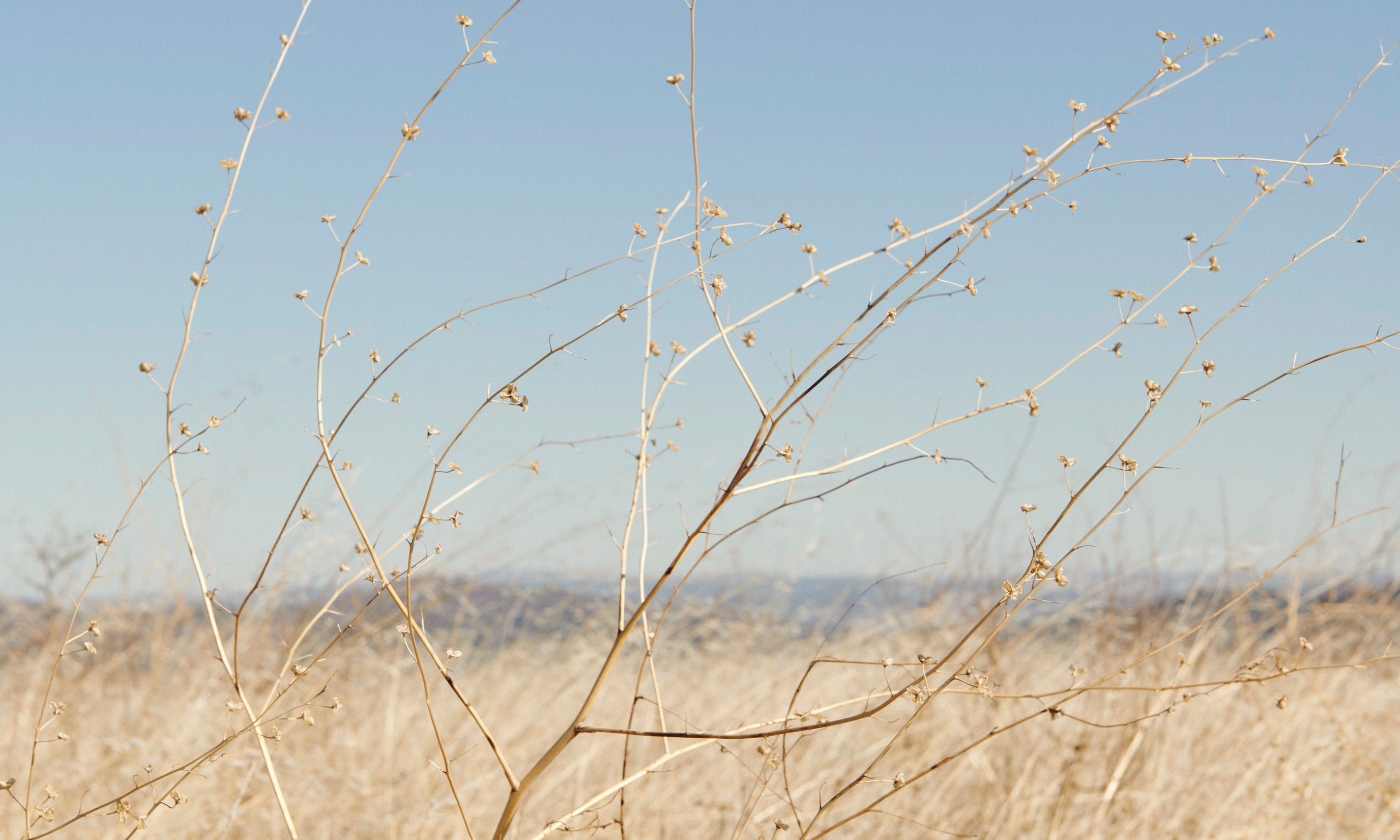 FREDA Inspire II: A Weekly Round Up