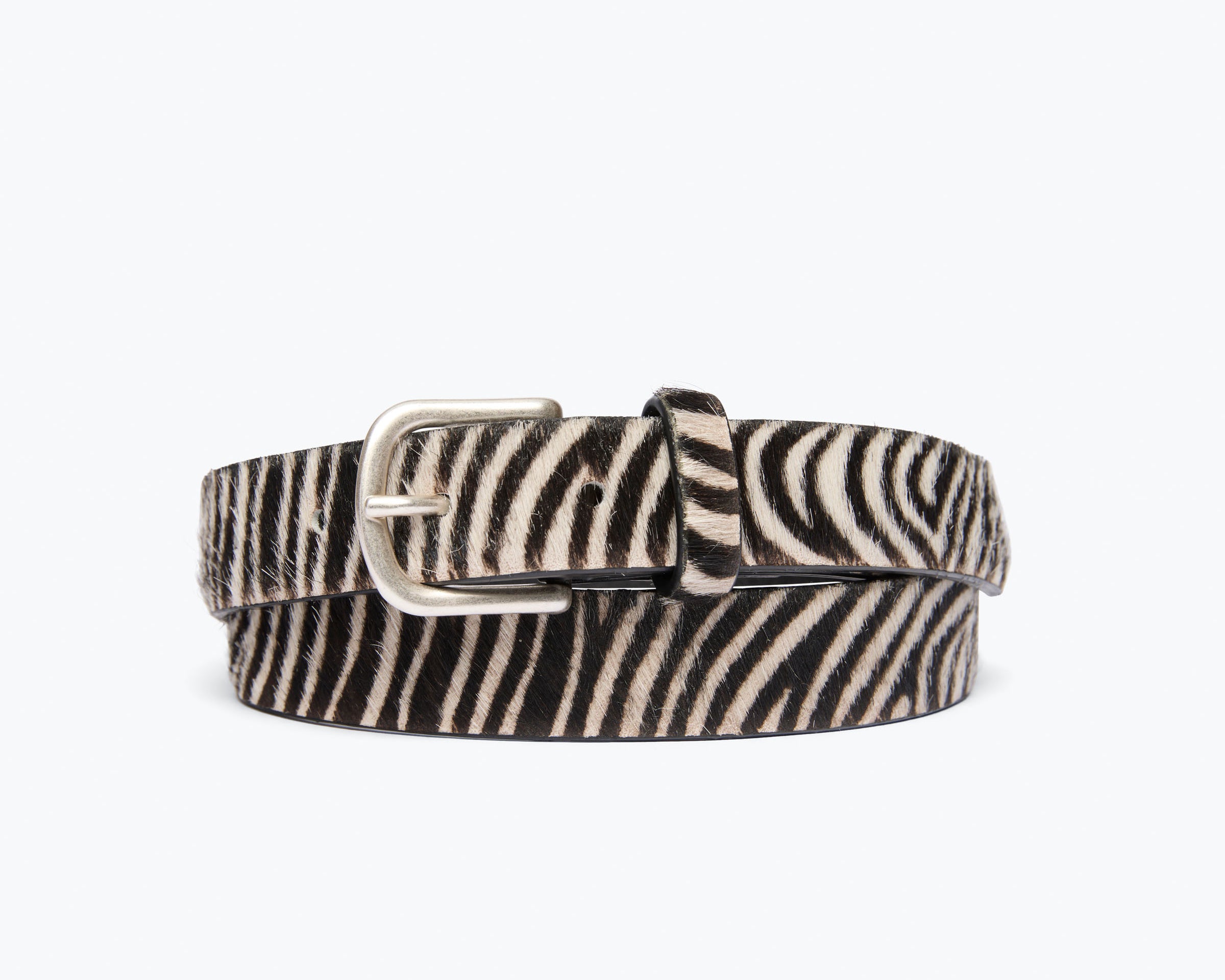 Freda Salvador Rebecca belt in zebra hair calf leather with front view showing sleek, textured animal print design.