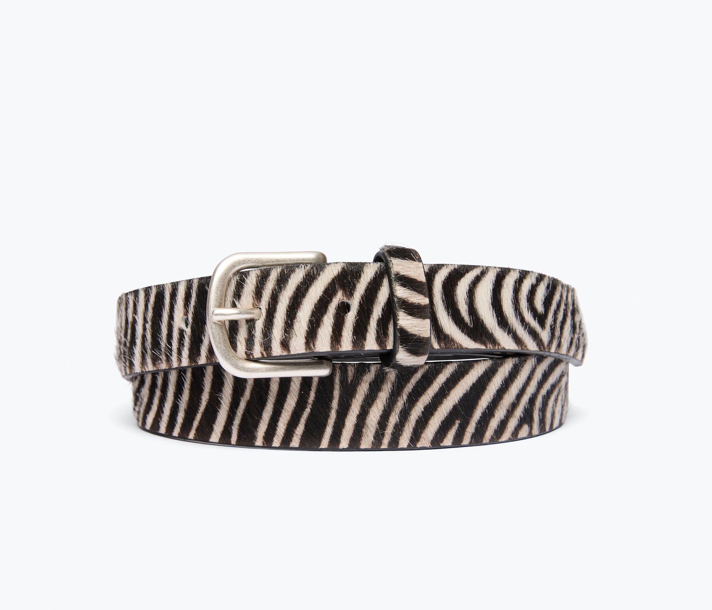 Freda Salvador Rebecca belt in zebra hair calf leather with front view showing sleek, textured animal print design.