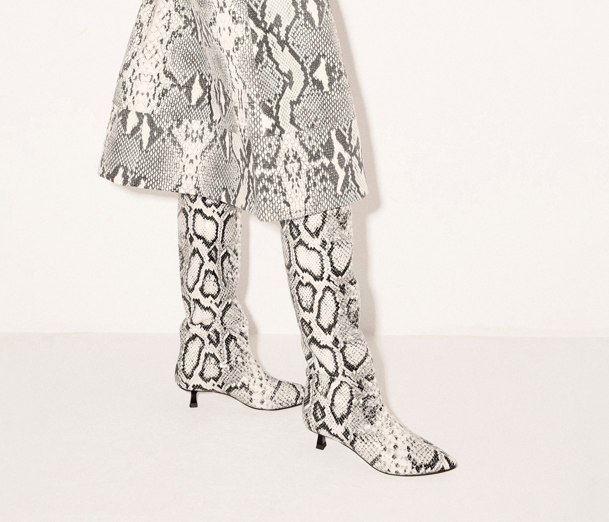 ROBYN TALL BOOT, [product-type] - FREDA SALVADOR Power Shoes for Power Women