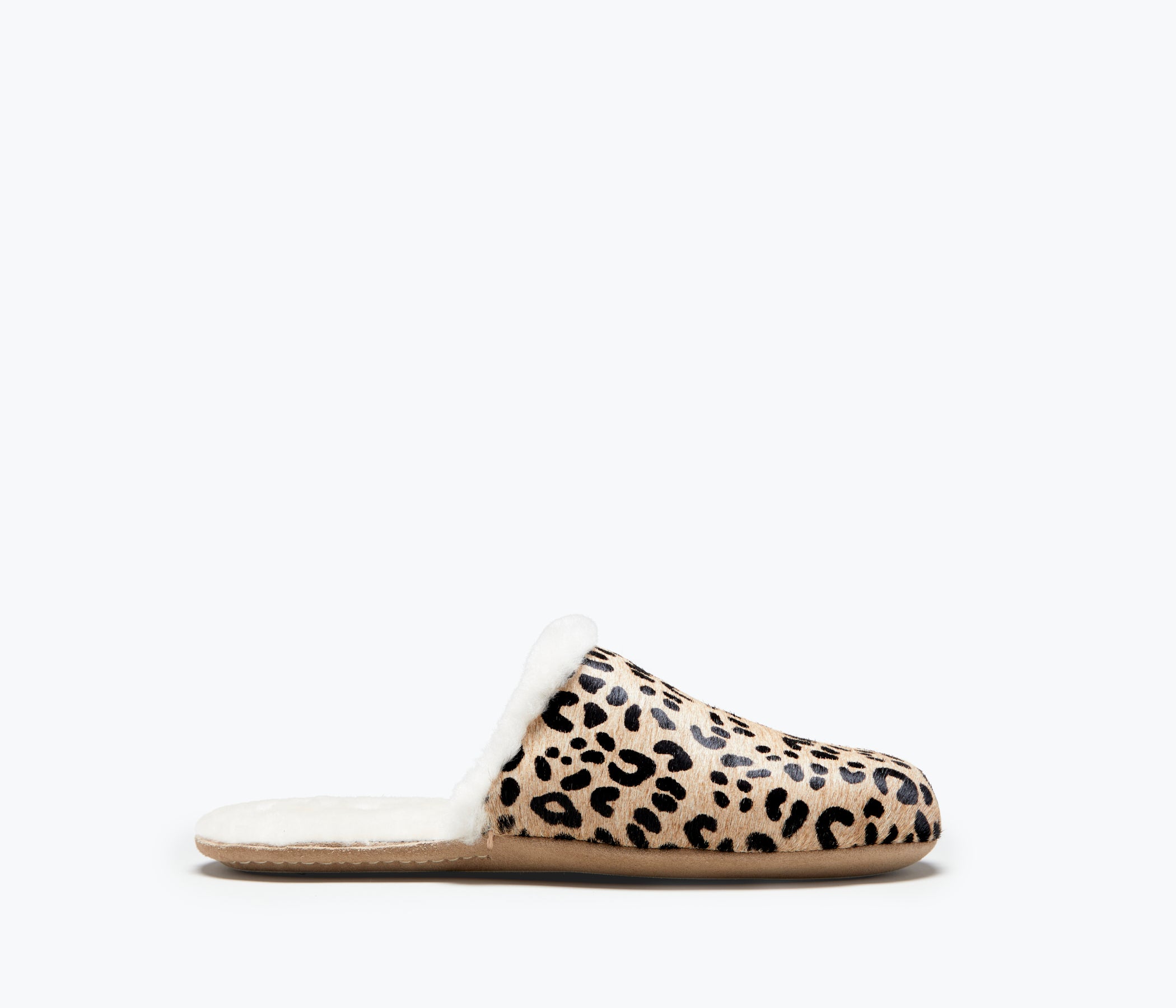 Freda Salvador James shearling slip-on slippers in tan and black, displayed outdoors on a textured surface.